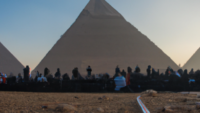 Concerts at the foot of the Pyramid Vibes.. Imagine standing in the shadow of the majestic pyramids, while your favorite band plays their heart out.