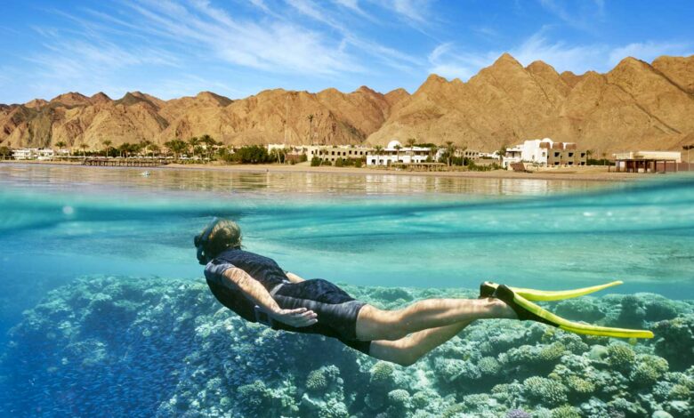 Dive into Adventure: Exploring the Depths of Sharm El-Sheikh!+Discover a Subaquatic Paradise: Unforgettable Diving Experiences Await!